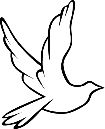 Flying Dove Illustration