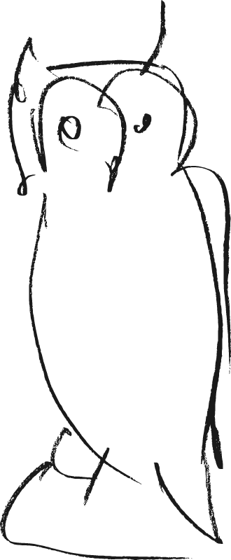 Hand-Drawn Owl Outline