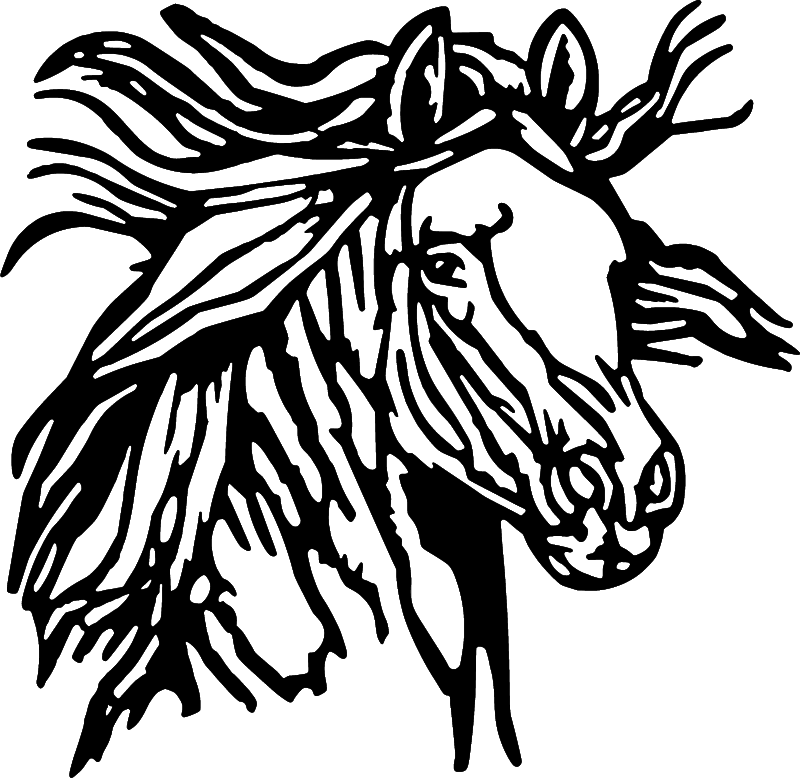 Horse Head Illustration