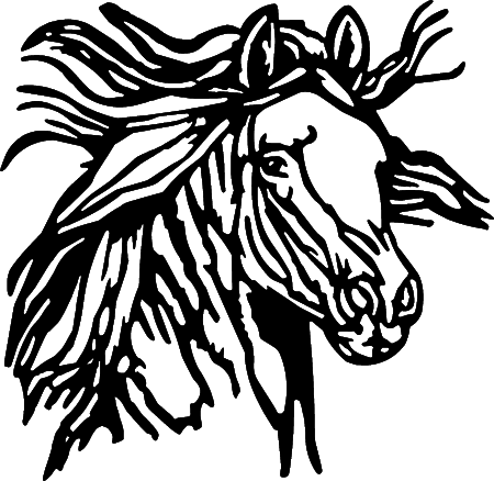 Horse Head Illustration