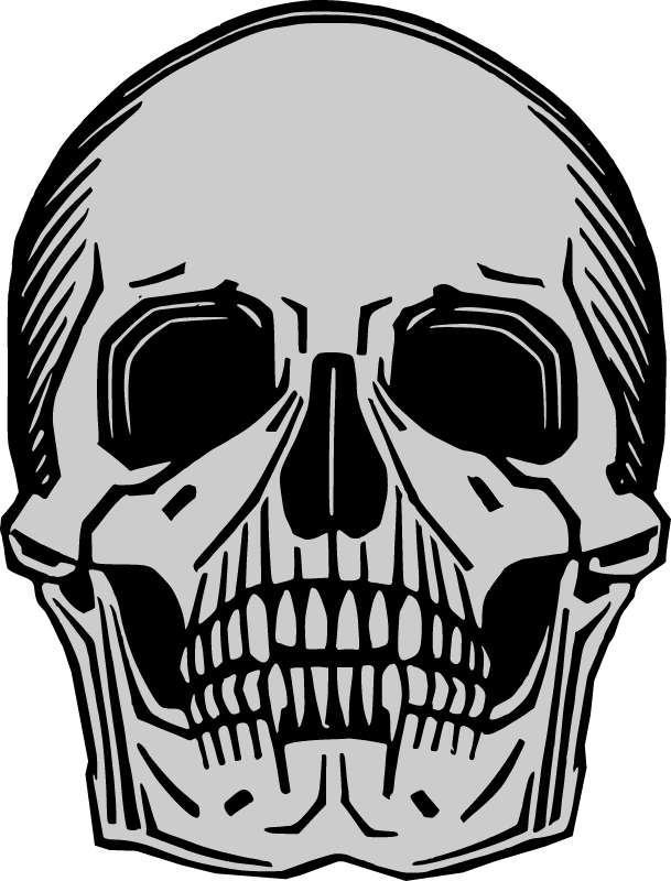Memento Mori Colored Skull