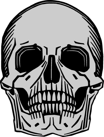 Memento Mori Colored Skull