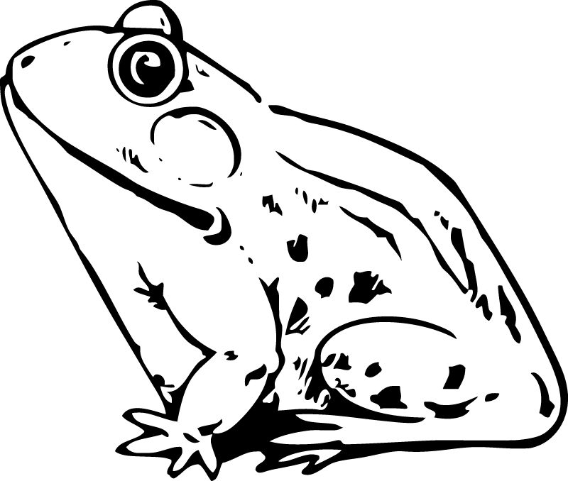 Monochrome Frog Profile