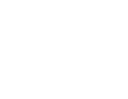 Row of Human Skulls