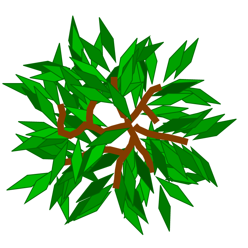 Algorithmic Tree Top View