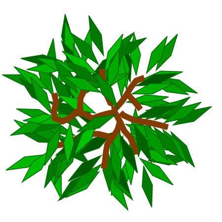 Algorithmic Tree Top View