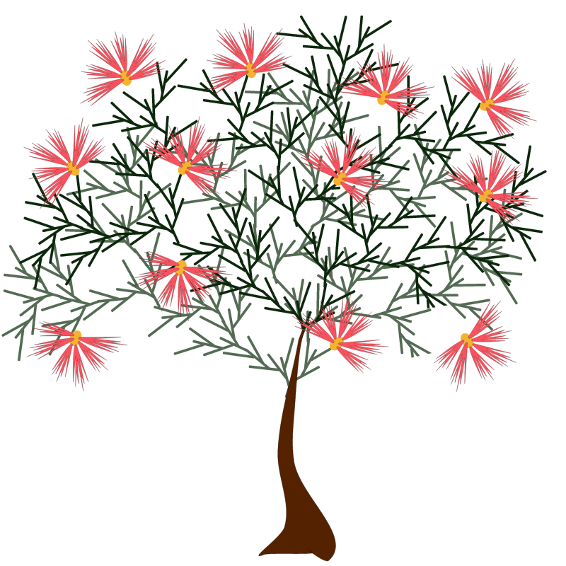 Blossoming Tree in Top View