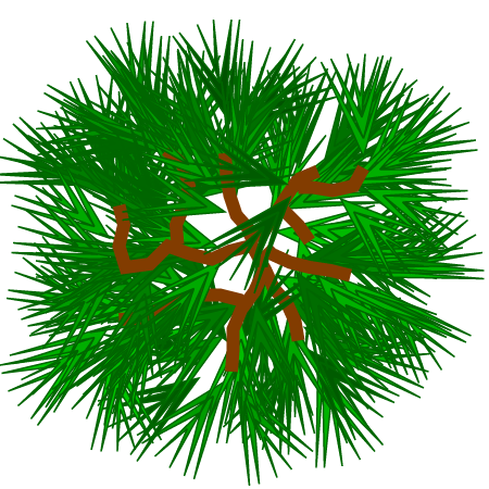 C++ Designed Tree Top View