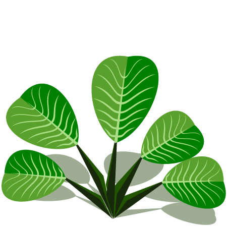 Detailed Leaf Sketch
