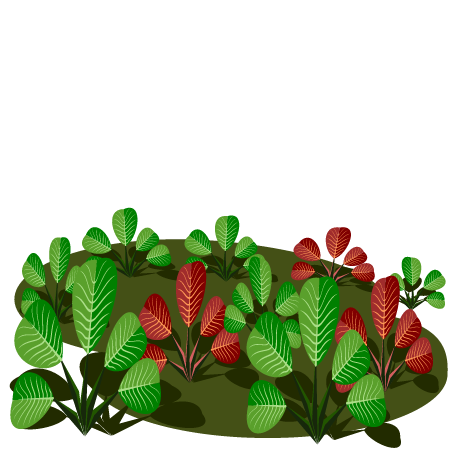 Natural Leaf Design