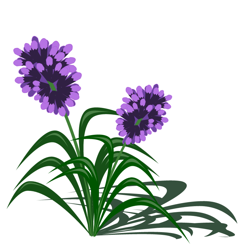 Seasonal Purple Flower