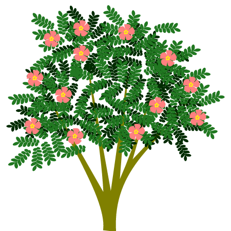 Seasonal Tree Design