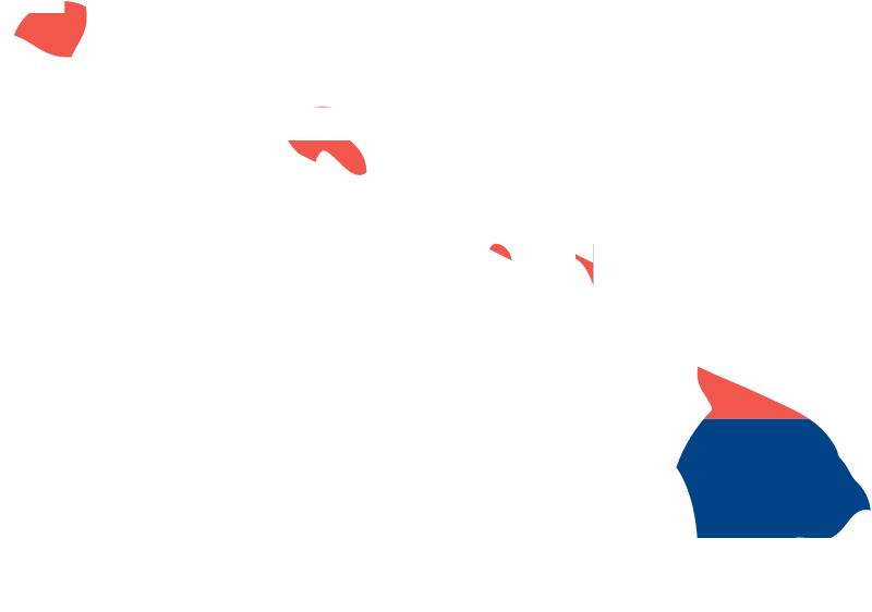 Hawaii State Outline