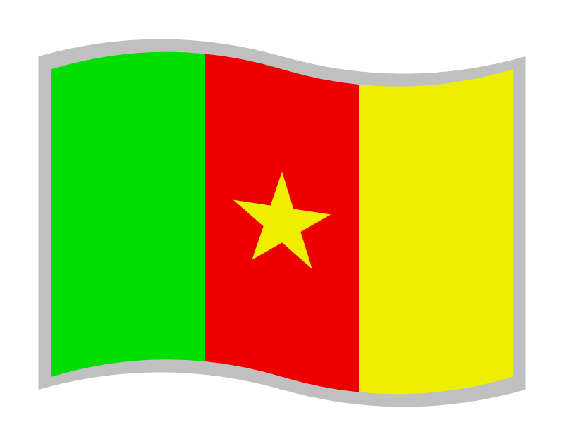 Cameroon National Flag