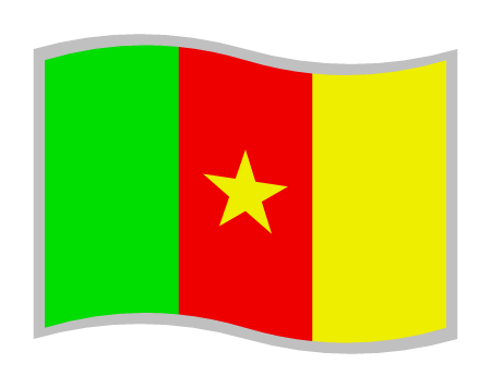 Cameroon National Flag