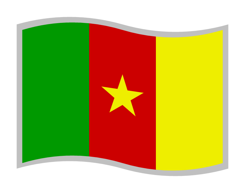 Cameroonian Flag (Waving)