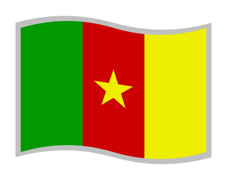 Cameroonian Flag (Waving)