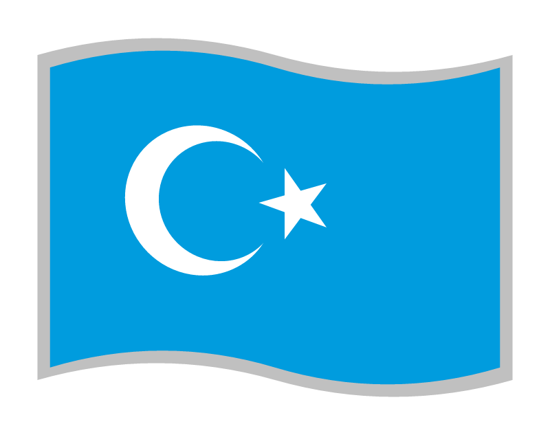 East Turkestan Independence Flag - Kökbayraq