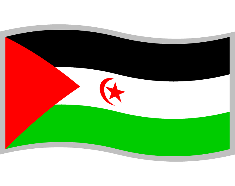 Sahrawi Arab Democratic Republic Flag