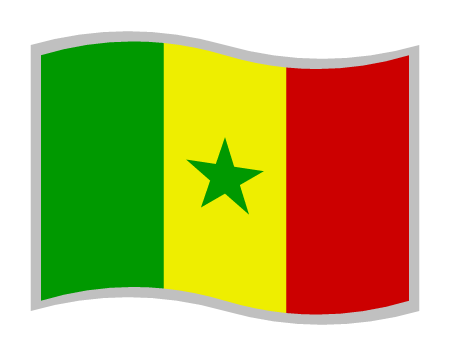 Senegal Flag - Curved