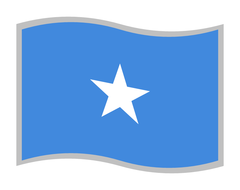 Somalian National Flag