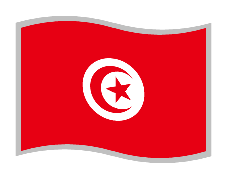 Tunisian National Flag