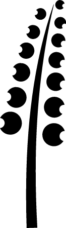 Stylized Floral Pattern 