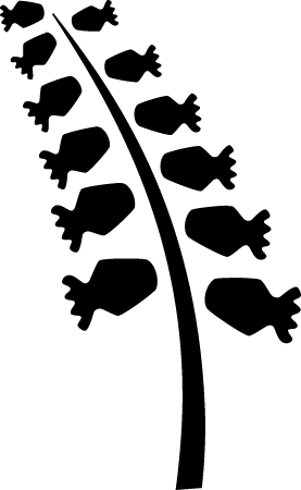Stylized Floral Pattern 