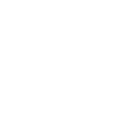 Row of Human Skull