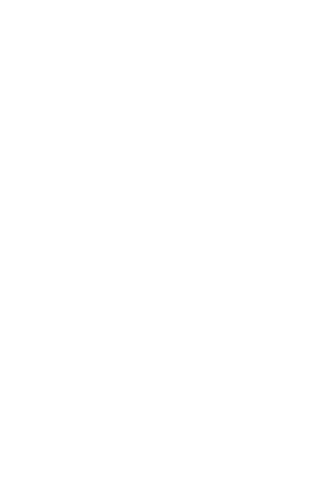 Row of Human Skull