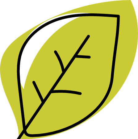 Doodle Leaf Icon