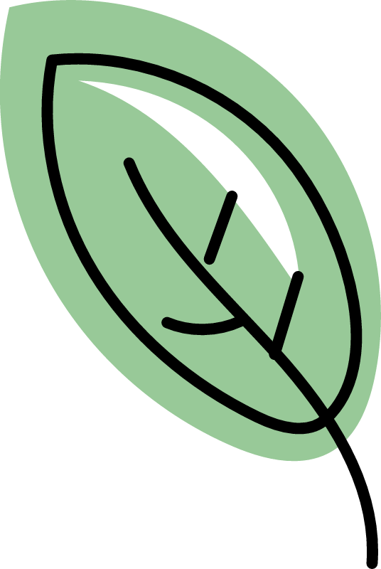 Doodle Leaf Icon