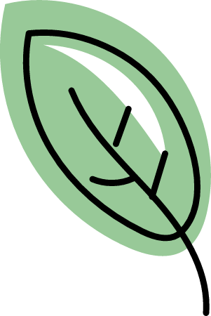 Doodle Leaf Icon