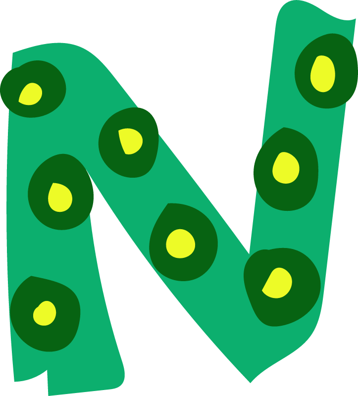 Fun letter N