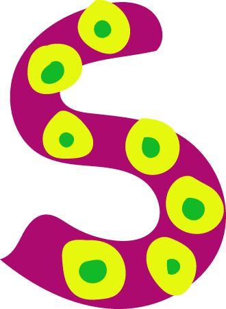 Fun letter S