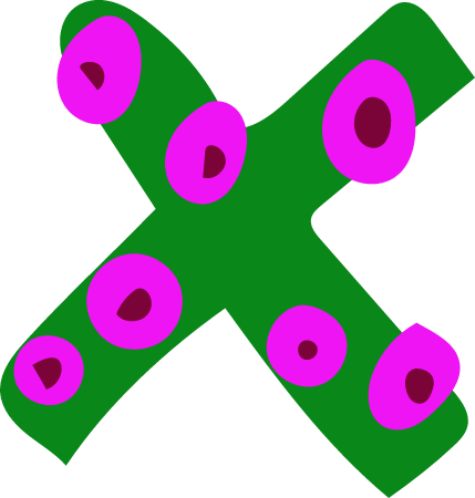 Fun letter X