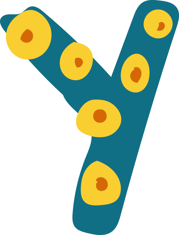 Fun letter Y