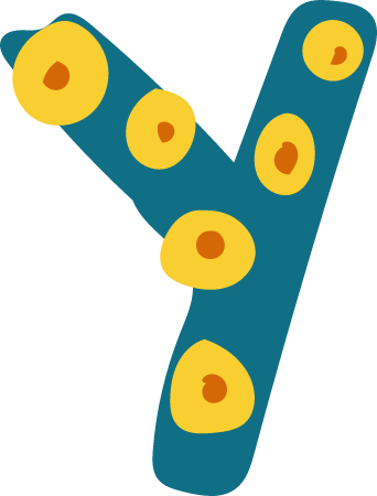 Fun letter Y