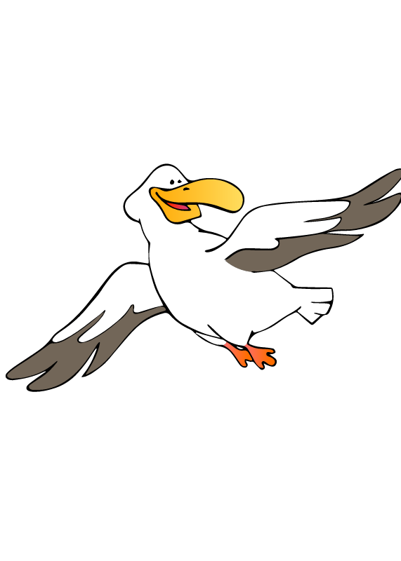 Albatross flying in the sky