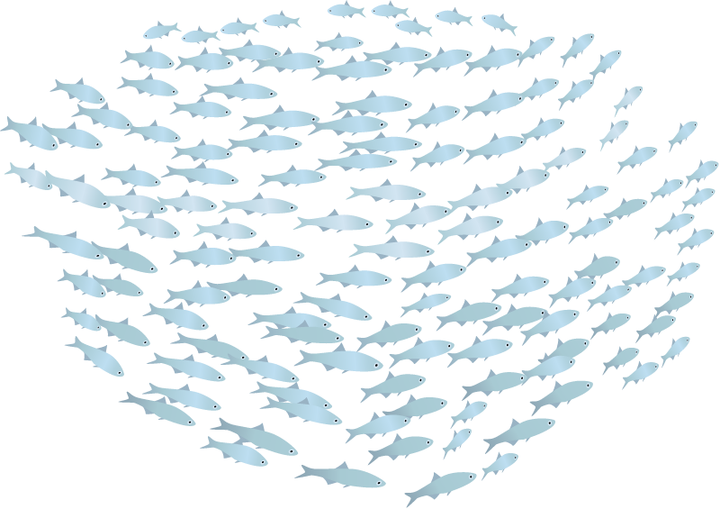 Fish School