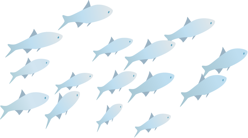 Fish School