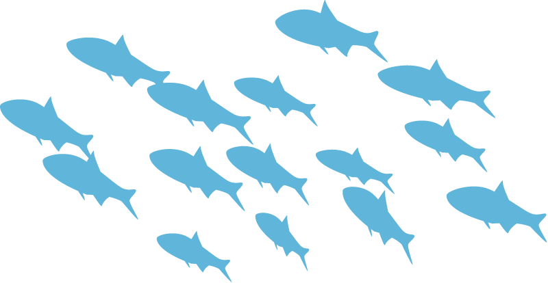 Fish School