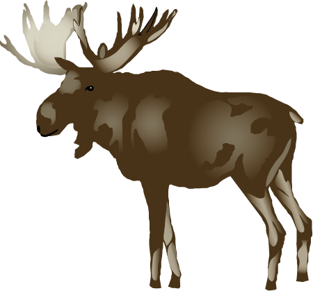 Moose (Alces Alces)