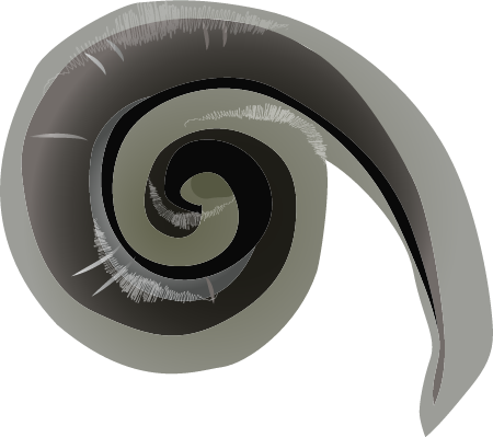 Nematode Worm (Anguillicoloides Crassus)