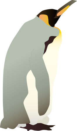 Emperor Penguin (Aptenodytes Forsteri)