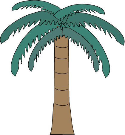 Palm Tree (Arecaceae)