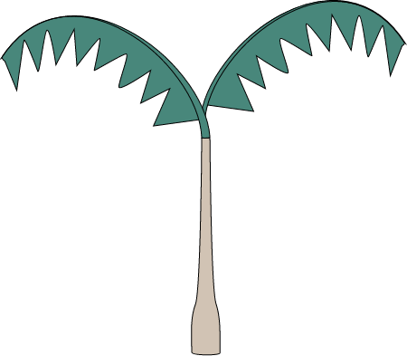 Palm Tree (Arecaceae)