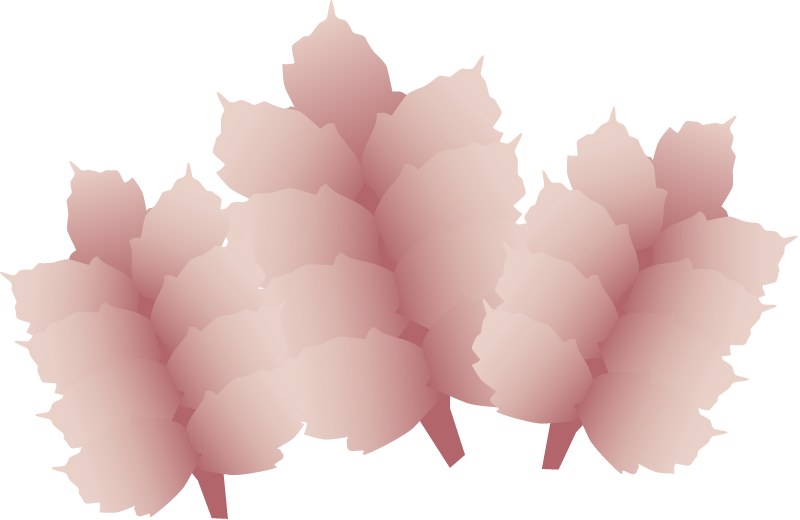 Limu Kohu (Asparagopsis Taxiformis)