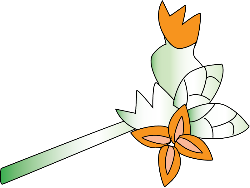 Grey Mangrove Flower (Avicennia Marina)