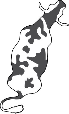 Cow From Above (Bos Taurus)